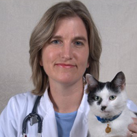 Veterinarian Kathy Kallay